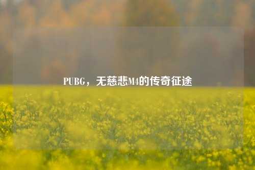 PUBG,无慈悲M4的传奇征途