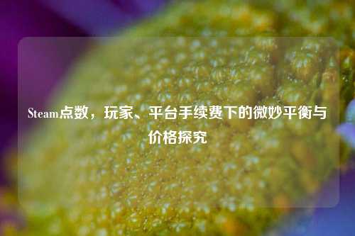 Steam点数,玩家、平台手续费下的微妙平衡与价格探究