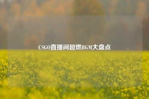 CSGO直播间超燃BGM大盘点