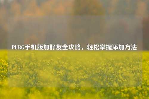 PUBG手机版加好友全攻略，轻松掌握添加方法