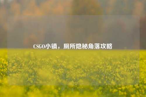 CSGO小镇,厕所隐秘角落攻略