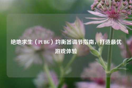 绝地求生(PUBG)均衡器调节指南,打造最优游戏体验
