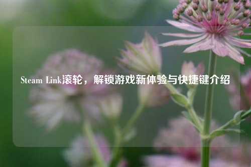 Steam Link滚轮,解锁游戏新体验与快捷键介绍