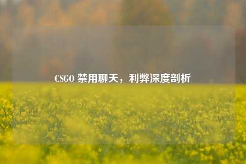 CSGO 禁用聊天,利弊深度剖析
