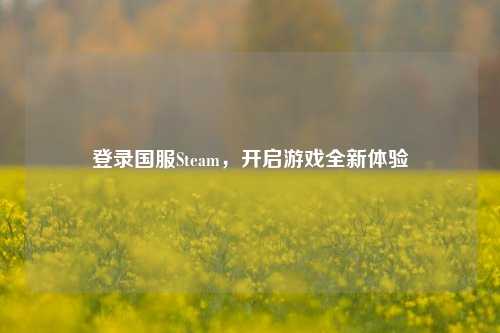 登录国服Steam，开启游戏全新体验