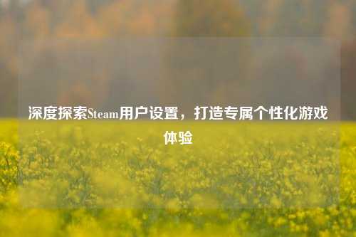 深度探索Steam用户设置,打造专属个性化游戏体验