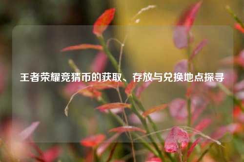 王者荣耀竞猜币的获取、存放与兑换地点探寻