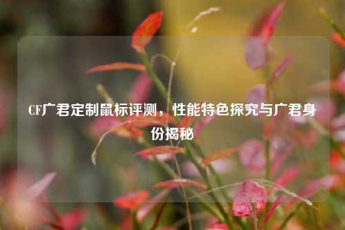 CF广君定制鼠标评测,性能特色探究与广君身份揭秘
