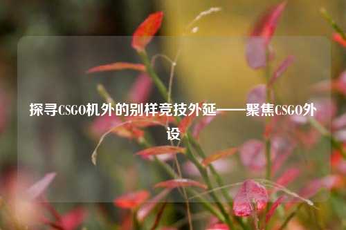 探寻CSGO机外的别样竞技外延——聚焦CSGO外设