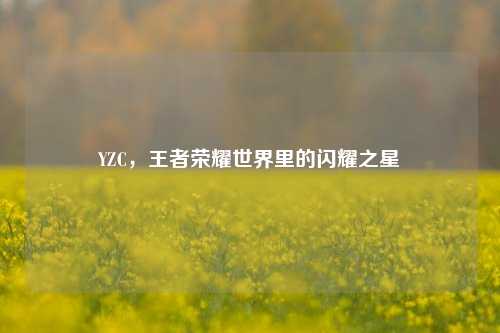 YZC，王者荣耀世界里的闪耀之星