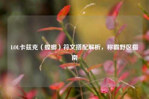LOL卡兹克（螳螂）符文搭配解析，称霸野区指南