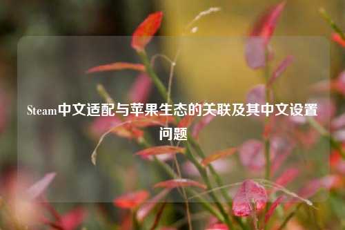 Steam中文适配与苹果生态的关联及其中文设置问题