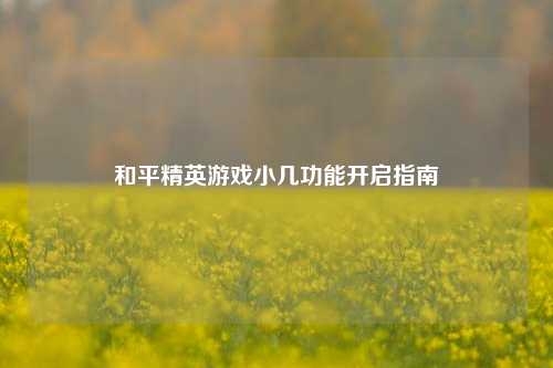 和平精英游戏小几功能开启指南