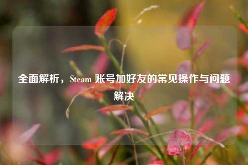 全面解析，Steam 账号加好友的常见操作与问题解决
