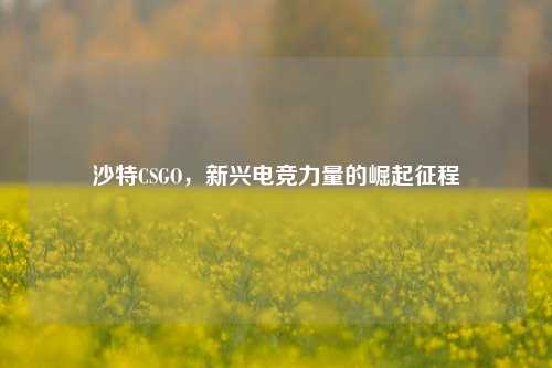 沙特CSGO，新兴电竞力量的崛起征程
