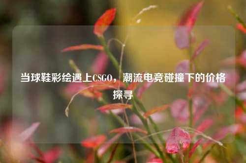 当球鞋彩绘遇上CSGO，潮流电竞碰撞下的价格探寻
