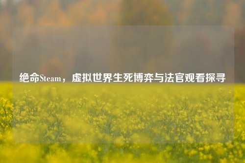 绝命Steam，虚拟世界生死博弈与法官观看探寻