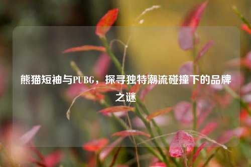 熊猫短袖与PUBG，探寻独特潮流碰撞下的品牌之谜