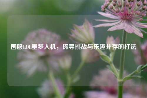 国服LOL噩梦人机，探寻挑战与乐趣并存的打法