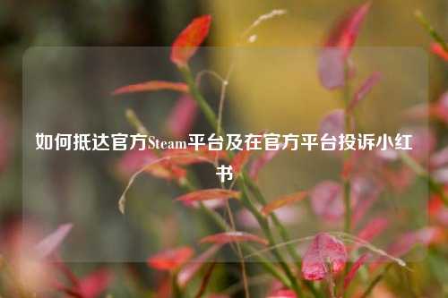 如何抵达官方Steam平台及在官方平台投诉小红书