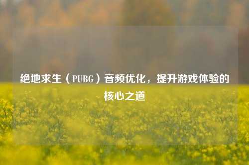 绝地求生（PUBG）音频优化，提升游戏体验的核心之道