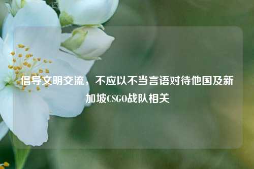倡导文明交流，不应以不当言语对待他国及新加坡CSGO战队相关