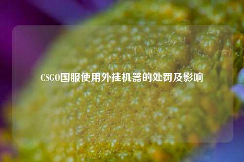 CSGO国服使用外挂机器的处罚及影响