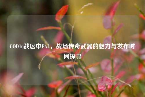 COD16战区中FAL，战场传奇武器的魅力与发布时间探寻