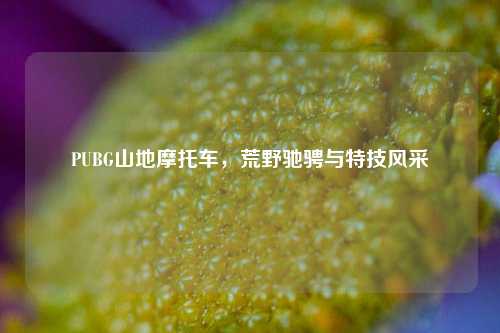 PUBG山地摩托车，荒野驰骋与特技风采