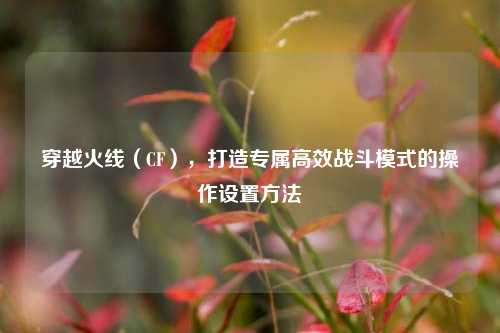 穿越火线（CF），打造专属高效战斗模式的操作设置方法