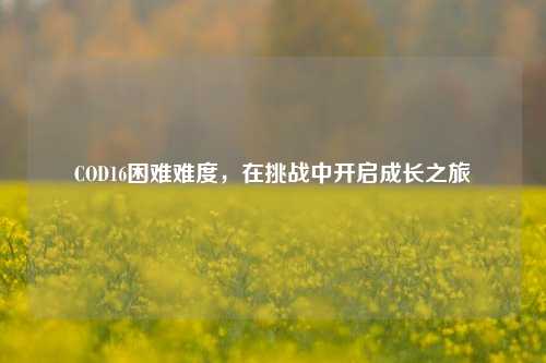 COD16困难难度,在挑战中开启成长之旅