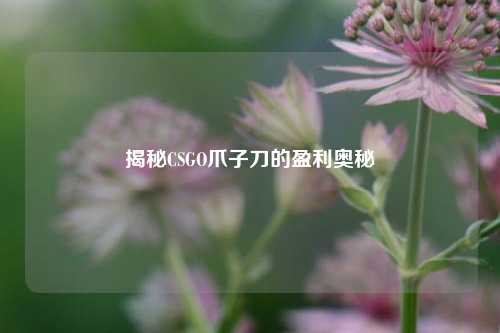 揭秘CSGO爪子刀的盈利奥秘