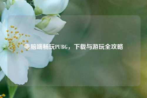 电脑端畅玩PUBG，下载与游玩全攻略