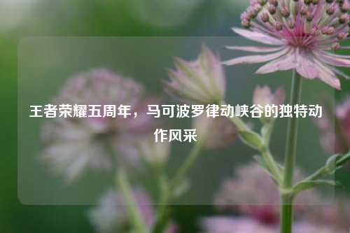 王者荣耀五周年，马可波罗律动峡谷的独特动作风采