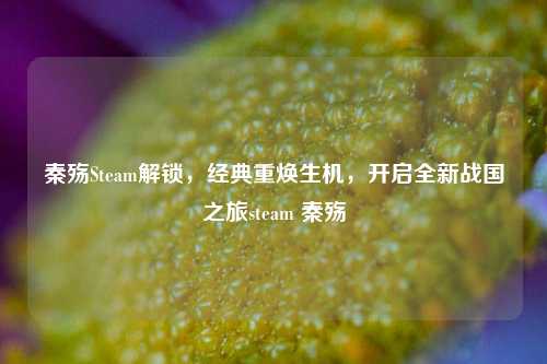 秦殇Steam解锁，经典重焕生机，开启全新战国之旅steam 秦殇