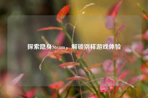 探索隐身Steam，解锁别样游戏体验