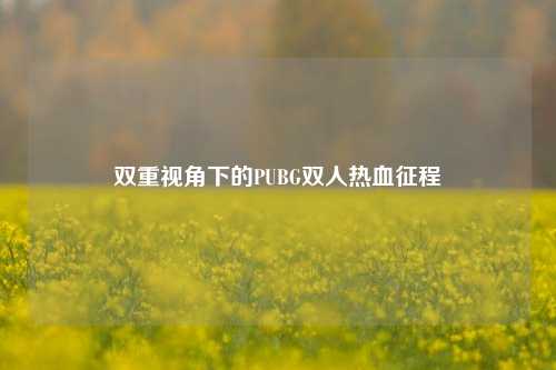 双重视角下的PUBG双人热血征程