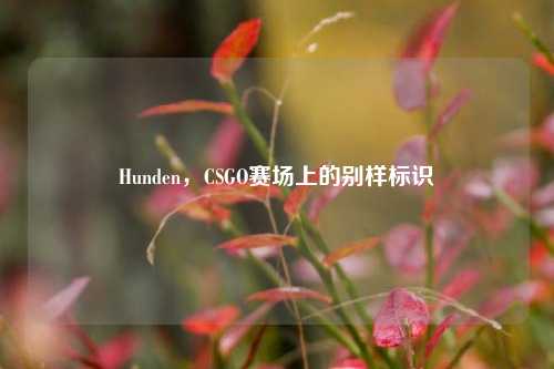 Hunden,CSGO赛场上的别样标识