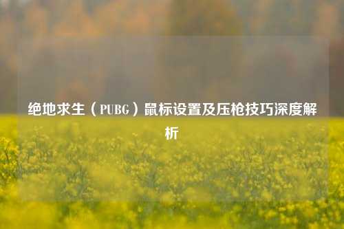 绝地求生（PUBG）鼠标设置及压枪技巧深度解析