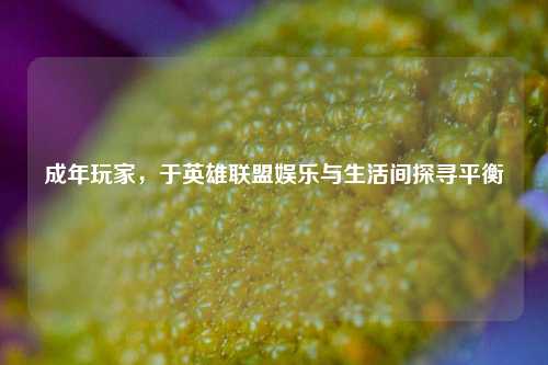 成年玩家，于英雄联盟娱乐与生活间探寻平衡