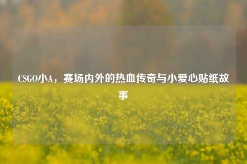 CSGO小A,赛场内外的热血传奇与小爱心贴纸故事