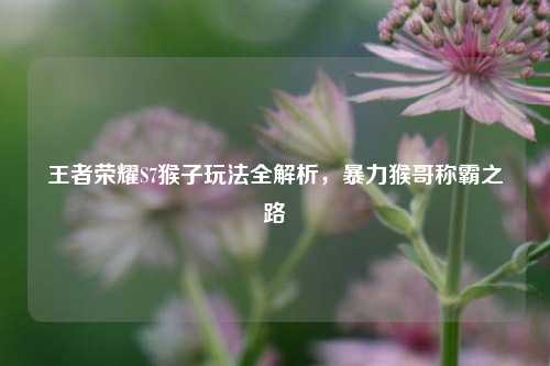 王者荣耀S7猴子玩法全解析，暴力猴哥称霸之路