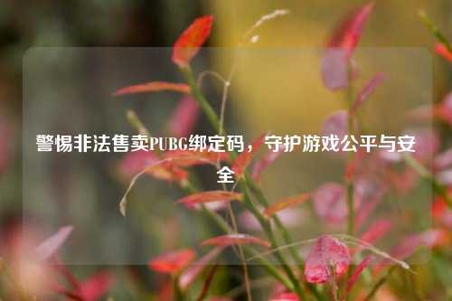 警惕非法售卖PUBG绑定码，守护游戏公平与安全