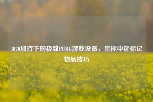3070加持下的极致PUBG游戏设置，鼠标中键标记物品技巧