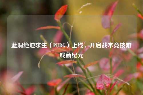 蓝洞绝地求生（PUBG）上线，开启战术竞技游戏新纪元