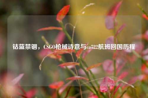 钴蓝禁锢,CSGO枪械诗意与ca722航班回国历程