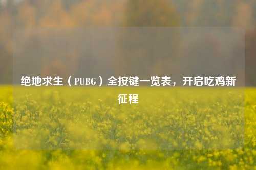 绝地求生(PUBG)全按键一览表,开启吃鸡新征程