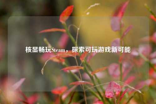 核显畅玩Steam，探索可玩游戏新可能