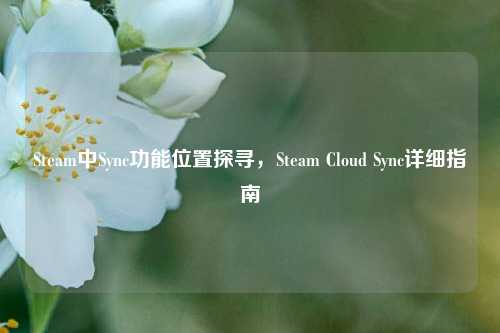 Steam中Sync功能位置探寻,Steam Cloud Sync详细指南