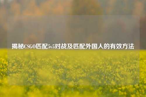 揭秘CSGO匹配5v5对战及匹配外国人的有效方法